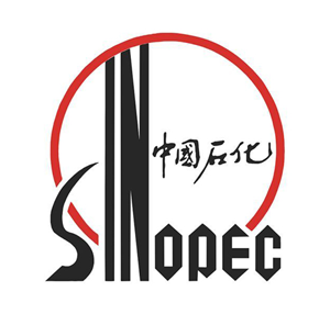 中国石油化工集团有限公司项目